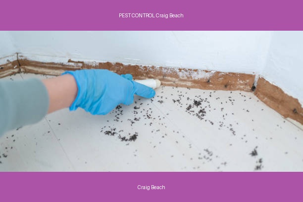 PEST CONTROL Craig Beach